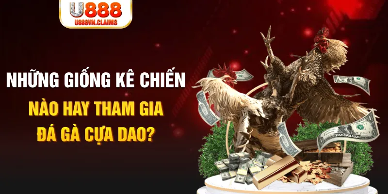 kubet77 BG Trực Tuyến
