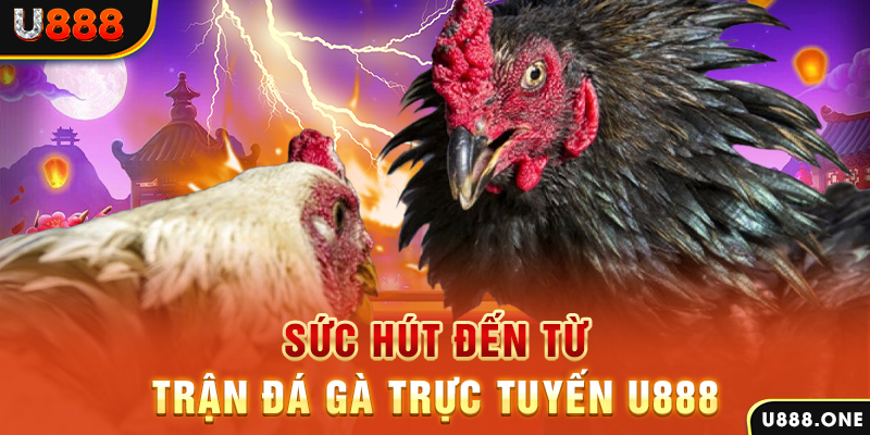 kubet77 đăng nhập poker 2024