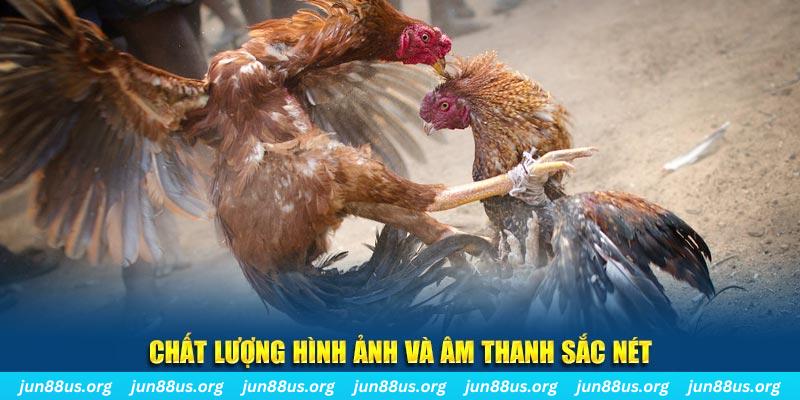 kubet77 gà chọi tiêu phong