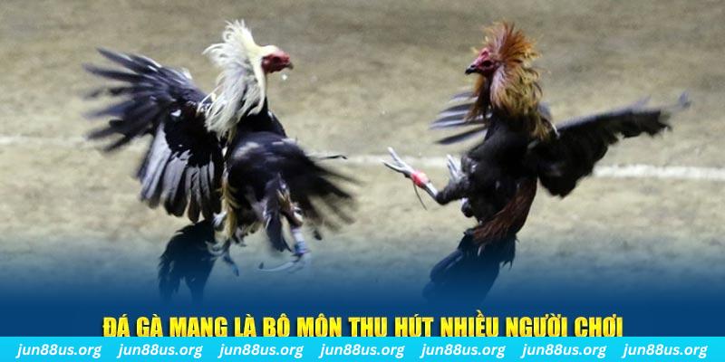 kubet77 đăng nhập sòng bạc số 1
