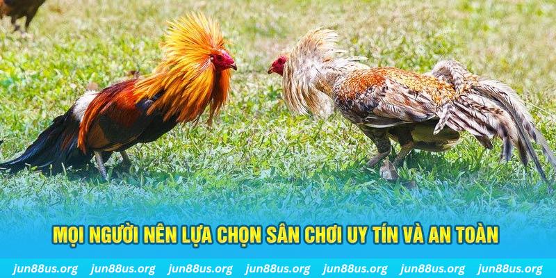 kubet77 đăng nhập poker 2025