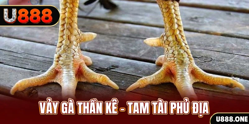 kubet77 so xo mien trung