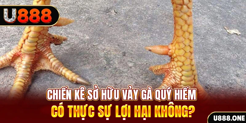 kubet77 xổ số miền trung