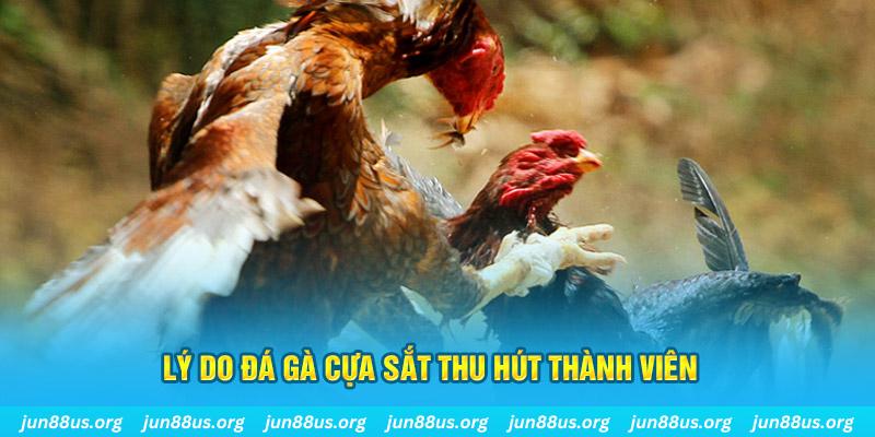kubet77 nổ hũ ăn bao nhiêu