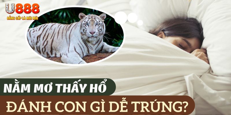 kubet77 nohu .mx nổ hủ là gì