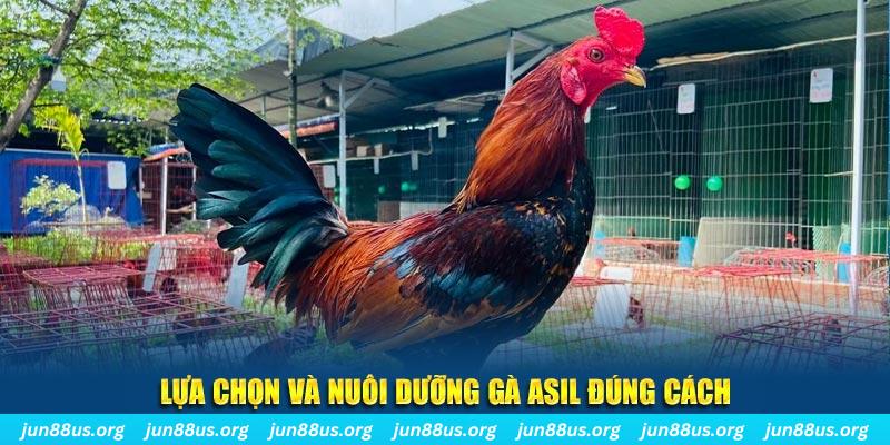 kubet77 nổ hũ thần tài là gì