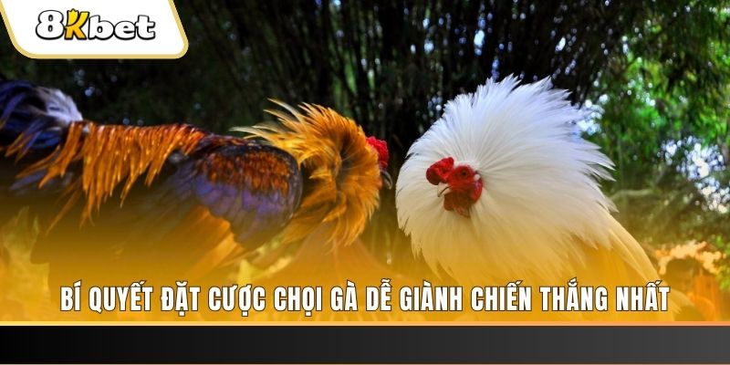 kubet77 nổ hũ chơi như thế nào