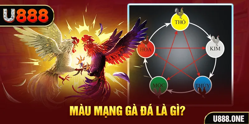 kubet77 V8 Game Bài 3d
