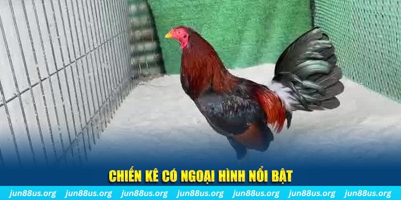 kubet77 qq88 bắn cá