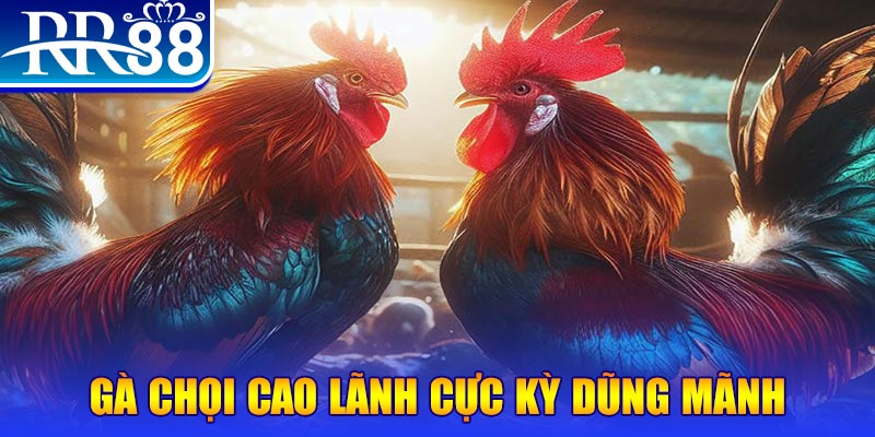kubet77 đăng nhập poker live